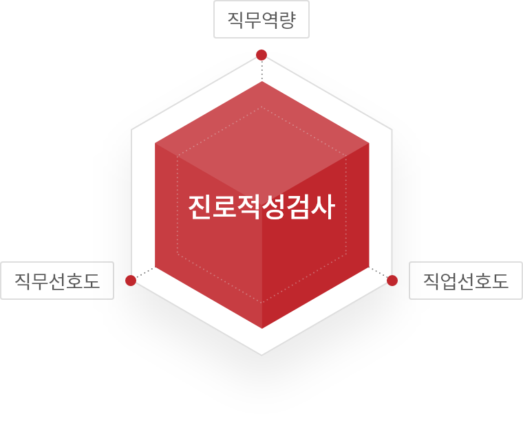 진로적성검사-직무역량,직업선호도,직무선혿