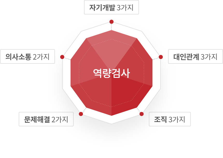 역량검사-자기개발 3가지, 대인관계 3가지, 조직 3가지, 문제해결 2가지, 의사소통 2가지