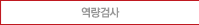 역량검사